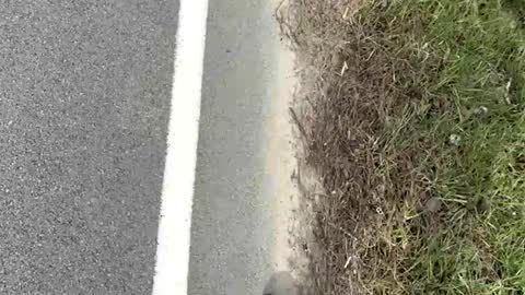 AylaTy online show from 03-15-26, 08:15