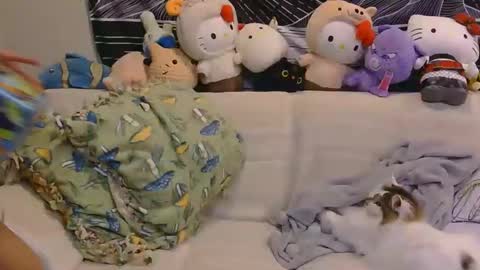 aznp1ea5er online show from 02-19-26, 04:19