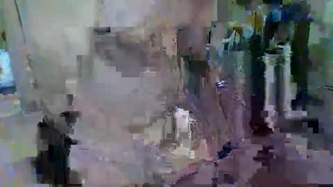 BERT online show from 05-28-26, 05:43