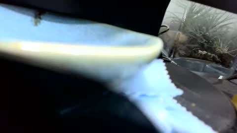 b1234567893 online show from 04-26-26, 01:25