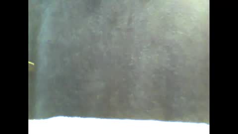 Snapshot of b1gg9inch chatting on 01-20-25, 11:02 b1gg9inch online show from 01-20-25, 11:02