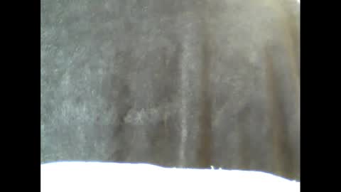 Snapshot of b1gg9inch chatting on 02-15-25, 10:55 b1gg9inch online show from 02-15-25, 10:55