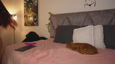 Samanta online show from 03-11-25, 07:04