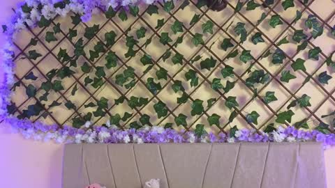 Snapshot of baby_xian chatting on 12-19-24, 02:45  Dani  online show from 12-19-24, 02:45