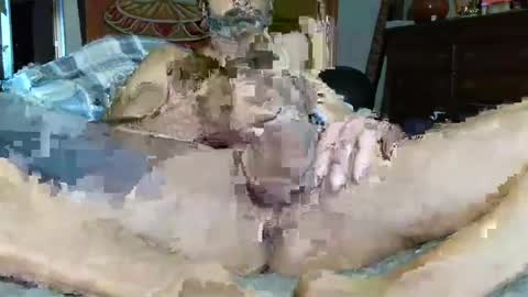 Poindexxxter online show from 12-16-24, 03:00