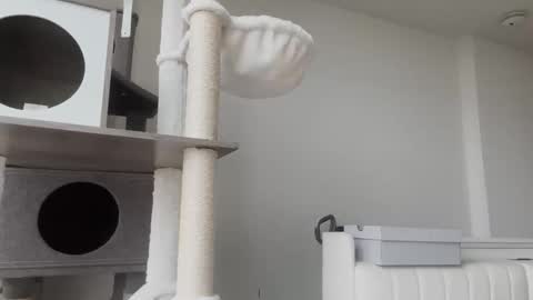 DADDY online show from 01-08-26, 11:01