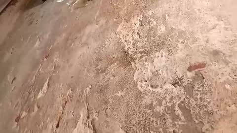 Megan online show from 10-02-25, 09:22