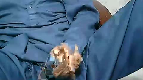 Snapshot of bagoro12145 chatting on 10-20-25, 05:13 bagoro12145 online show from 10-20-25, 05:13