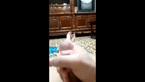 Snapshot of bahaa5555 chatting on 02-12-26, 04:18 bahaa5555 online show from 02-12-26, 04:18