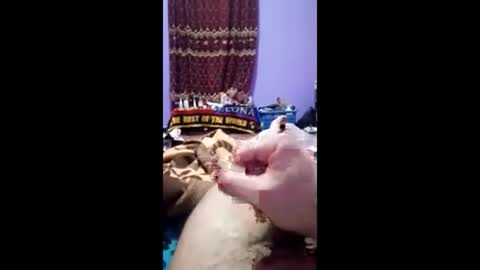 Snapshot of bahaa5555 chatting on 03-01-26, 07:16 bahaa5555 online show from 03-01-26, 07:16