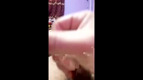 Snapshot of bahaa5555 chatting on 04-03-26, 03:32 bahaa5555 online show from 04-03-26, 03:32