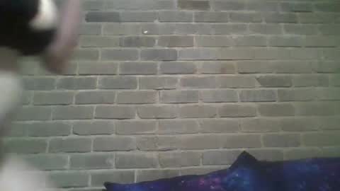 Snapshot of baielekker81578 chatting on 02-13-25, 10:23 Chaterlain online show from 02-13-25, 10:23