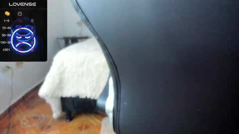 IM BAILEY online show from 02-17-25, 05:47