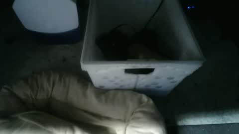 boton online show from 11-10-25, 09:19