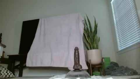 Snapshot of bambirachel1 chatting on 06-23-26, 11:36 bambirachel1 online show from 06-23-26, 11:36