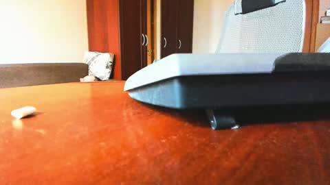 BananaBoy online show from 02-06-25, 09:43