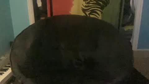 bananaboy420720 online show from 09-16-25, 06:14