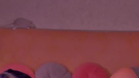 Snapshot of barbara_bb chatting on 02-10-25, 05:25 Barbie Kim online show from 02-10-25, 05:25