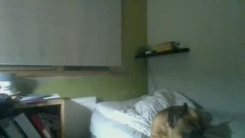 bart_poland online show from 10-23-25, 09:02