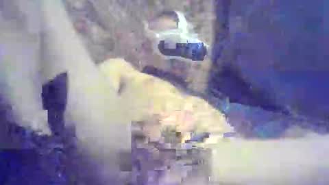 Snapshot of bartbartek chatting on 05-16-26, 05:34 bartbartek online show from 05-16-26, 05:34