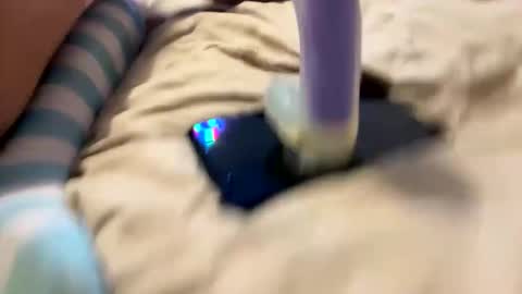 bathingcat online show from 11-27-25, 09:55