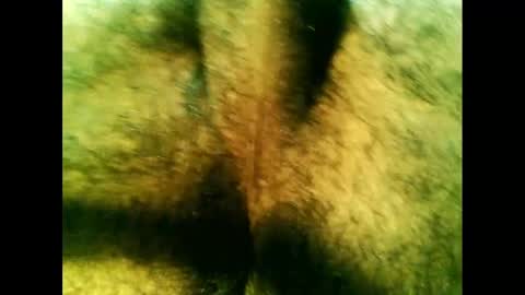 Snapshot of bayfall chatting on 12-14-24, 10:28 bayfall online show from 12-14-24, 10:28