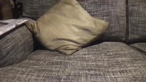 baykiwi54 online show from 12-17-24, 08:45