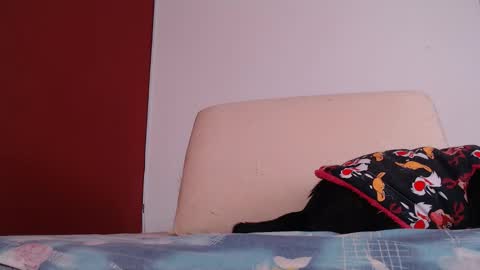 Snapshot of bayonette_black chatting on 09-26-25, 12:09 bayonette_black online show from 09-26-25, 12:09