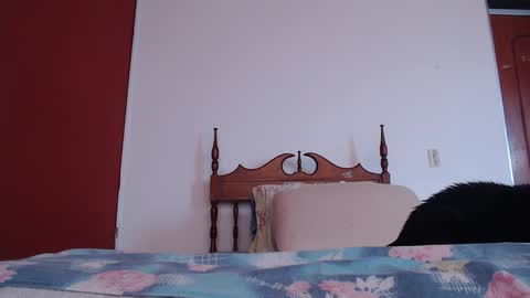 Snapshot of bayonette_black chatting on 09-27-25, 12:10 bayonette_black online show from 09-27-25, 12:10