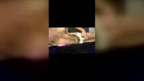 Snapshot of baz73 chatting on 01-18-26, 11:52 Baz online show from 01-18-26, 11:52