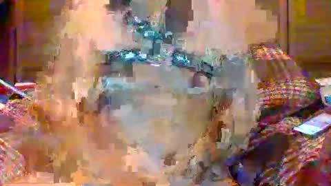 NSAPiigForBreeding online show from 04-22-26, 04:26