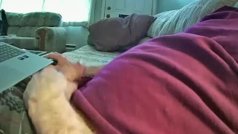 bcema2 online show from 01-08-25, 09:44