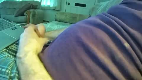 bcema2 online show from 01-06-26, 08:01