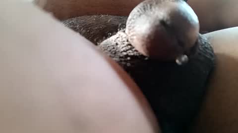 bcfalcon69 online show from 06-07-26, 12:42