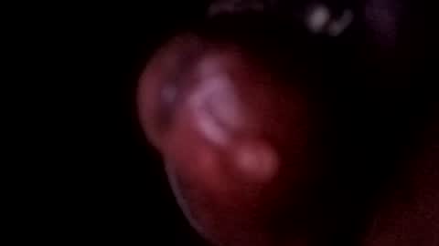 bcfalcon69 online show from 06-14-26, 05:09