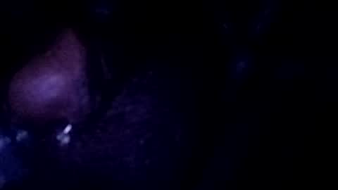 bcfalcon69 online show from 07-25-26, 03:04