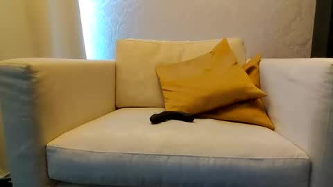 Snapshot of bd_19_6 chatting on 02-09-26, 03:16 bd online show from 02-09-26, 03:16