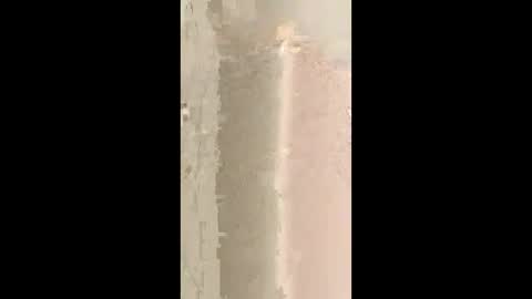 bdsmcutiepue online show from 06-10-26, 11:42