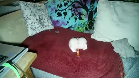 Snapshot of be4your_desire chatting on 11-18-25, 11:26 mikiforfun online show from 11-18-25, 11:26