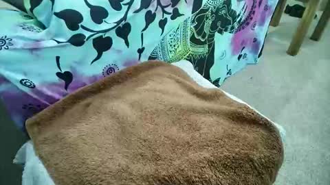 mikiforfun online show from 05-06-26, 09:25