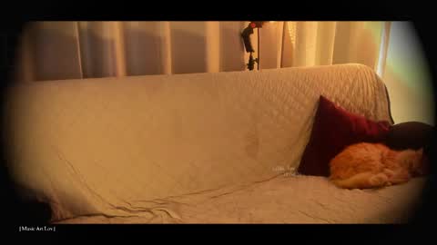 Call me Bells  Next Stream on Wednesday    Feb 26  online show from 04-18-26, 07:58