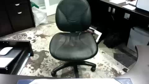 beagle1 online show from 10-14-25, 12:00