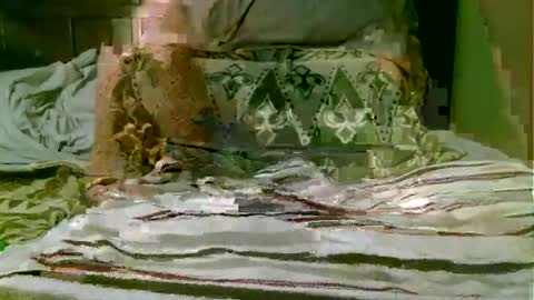 beagle1 online show from 11-01-25, 08:55