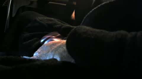 Snapshot of bear4146 chatting on 12-08-24, 03:24 bear4146 online show from 12-08-24, 03:24