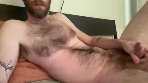 Snapshot of beardedchester chatting on 12-09-24, 09:16 beardedchester online show from 12-09-24, 09:16