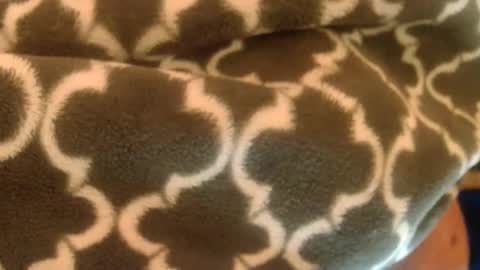 bearplay1111 online show from 02-27-25, 10:59