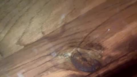 beautifukk online show from 01-14-26, 07:52