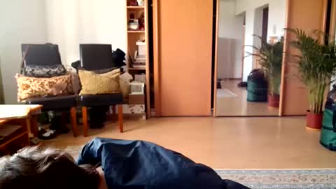 Snapshot of bebacksooon chatting on 05-15-26, 03:08 Raluca online show from 05-15-26, 03:08