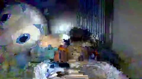 Xi online show from 05-20-26, 04:40