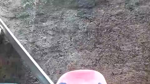 Snapshot of belalicious chatting on 02-28-25, 05:48 Tezza online show from 02-28-25, 05:48